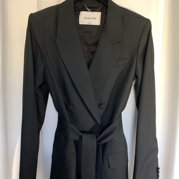 Aritzia Babaton Samuel Double-breasted Belted Blazer - Picture 6 of 6